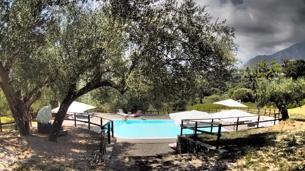 Tenuta Terre Di Bosco Oasi Di Relax Nel Cilento مدينة سان غيوفاني أبيرو المظهر الخارجي الصورة